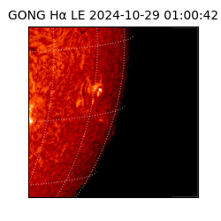 gong - 2024-10-29T01:00:42