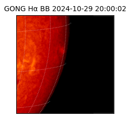 gong - 2024-10-29T20:00:02