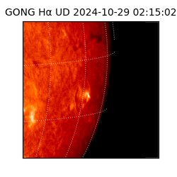 gong - 2024-10-29T02:15:02