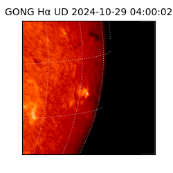 gong - 2024-10-29T04:00:02