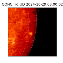 gong - 2024-10-29T08:00:02