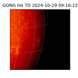 gong - 2024-10-29T09:16:22