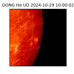 gong - 2024-10-29T10:00:02