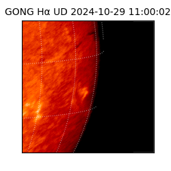 gong - 2024-10-29T11:00:02