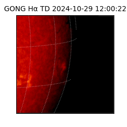 gong - 2024-10-29T12:00:22