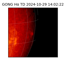 gong - 2024-10-29T14:02:22