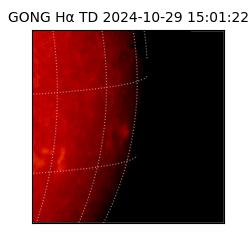 gong - 2024-10-29T15:01:22