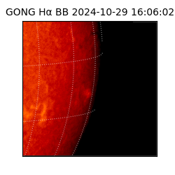 gong - 2024-10-29T16:06:02