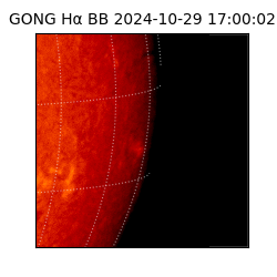 gong - 2024-10-29T17:00:02
