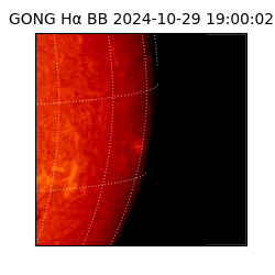 gong - 2024-10-29T19:00:02