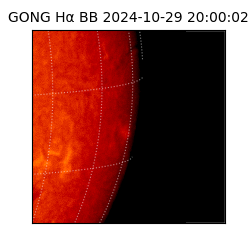 gong - 2024-10-29T20:00:02