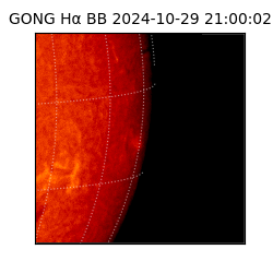 gong - 2024-10-29T21:00:02