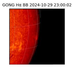 gong - 2024-10-29T23:00:02