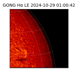 gong - 2024-10-29T01:00:42