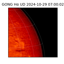 gong - 2024-10-29T07:00:02