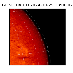 gong - 2024-10-29T08:00:02