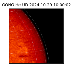 gong - 2024-10-29T10:00:02