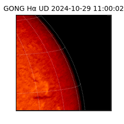 gong - 2024-10-29T11:00:02