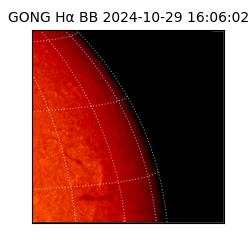 gong - 2024-10-29T16:06:02