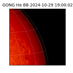 gong - 2024-10-29T19:00:02