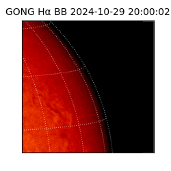 gong - 2024-10-29T20:00:02