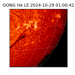 gong - 2024-10-29T01:00:42