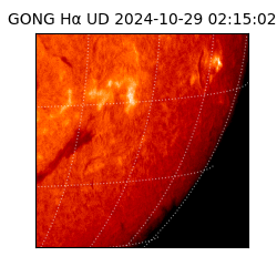 gong - 2024-10-29T02:15:02