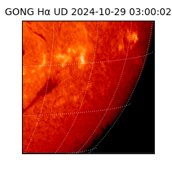gong - 2024-10-29T03:00:02