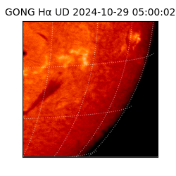 gong - 2024-10-29T05:00:02