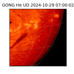 gong - 2024-10-29T07:00:02