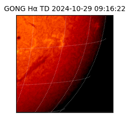 gong - 2024-10-29T09:16:22