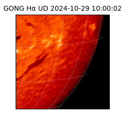 gong - 2024-10-29T10:00:02