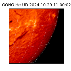 gong - 2024-10-29T11:00:02