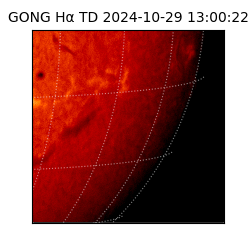 gong - 2024-10-29T13:00:22