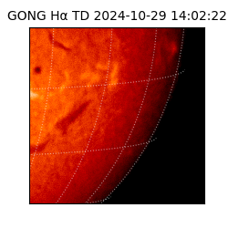 gong - 2024-10-29T14:02:22