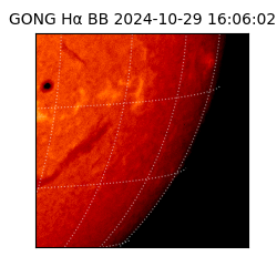 gong - 2024-10-29T16:06:02