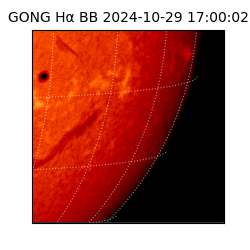 gong - 2024-10-29T17:00:02