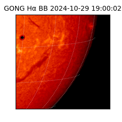 gong - 2024-10-29T19:00:02