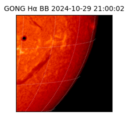 gong - 2024-10-29T21:00:02