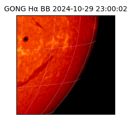 gong - 2024-10-29T23:00:02