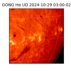gong - 2024-10-29T03:00:02