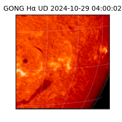 gong - 2024-10-29T04:00:02