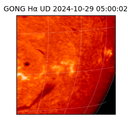 gong - 2024-10-29T05:00:02