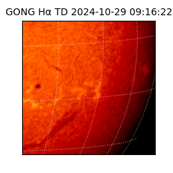 gong - 2024-10-29T09:16:22