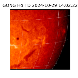 gong - 2024-10-29T14:02:22