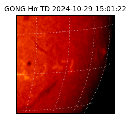 gong - 2024-10-29T15:01:22