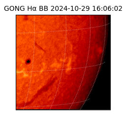 gong - 2024-10-29T16:06:02