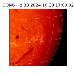 gong - 2024-10-29T17:00:02