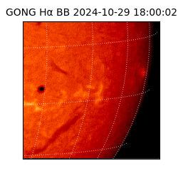 gong - 2024-10-29T18:00:02