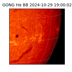 gong - 2024-10-29T19:00:02